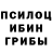 Галлюциногенные грибы Psilocybe Sektor14