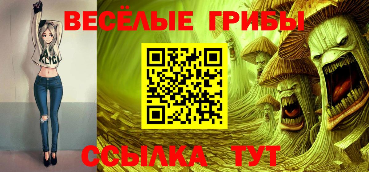 Псилоцибиновые грибы мицелий Азов