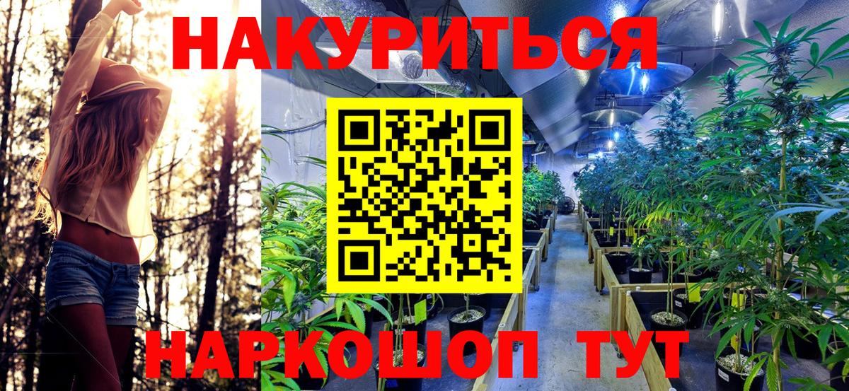 Конопля планчик Азов